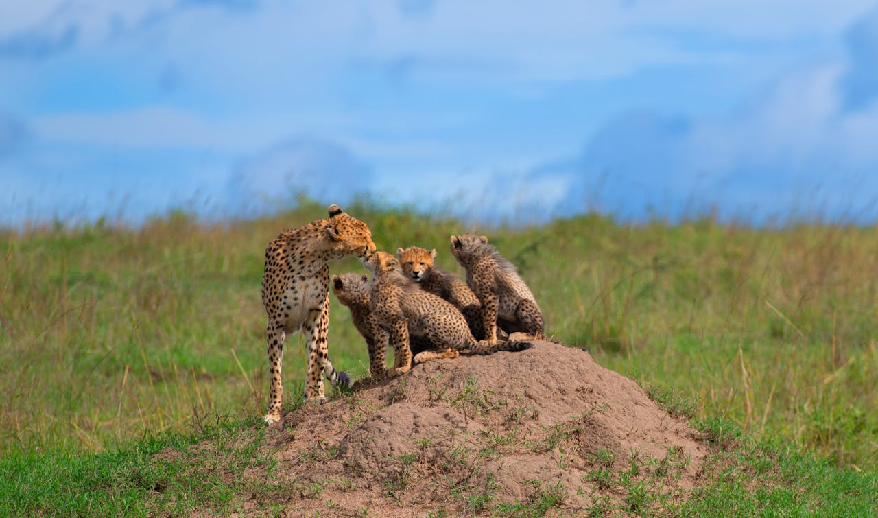 Kenya