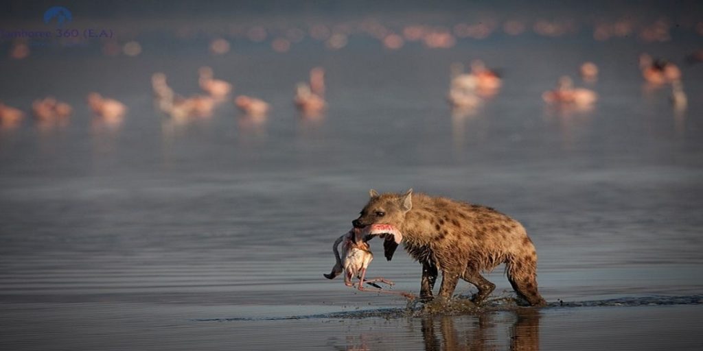 Lake Nakuru National Park