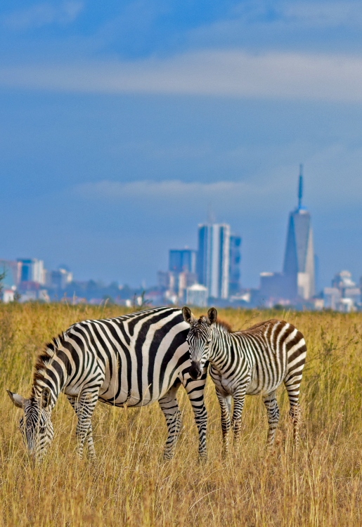 Nairobi National Park