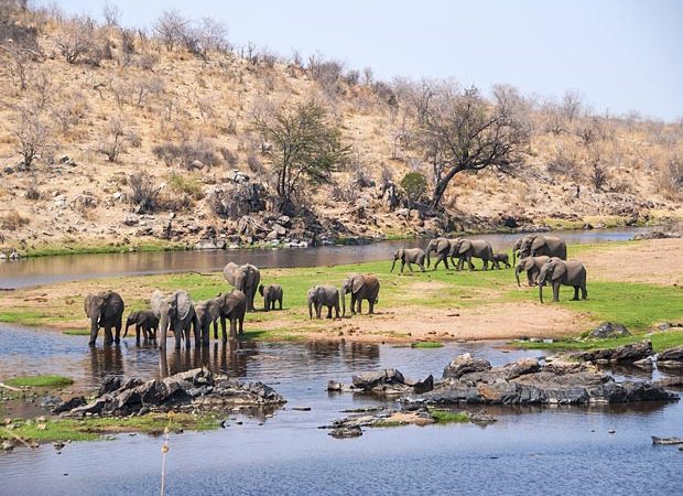 Ruaha National Park