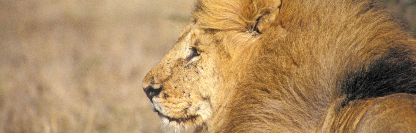 Tsavo East National Park