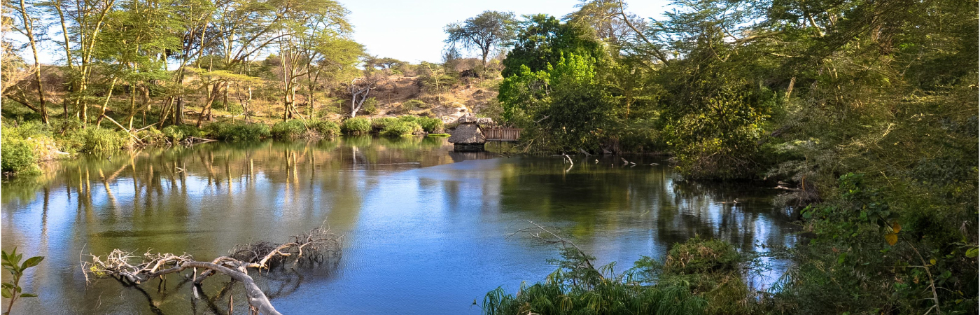 Tsavo West National Park